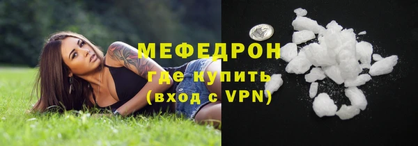 прущие грибы Тихвин