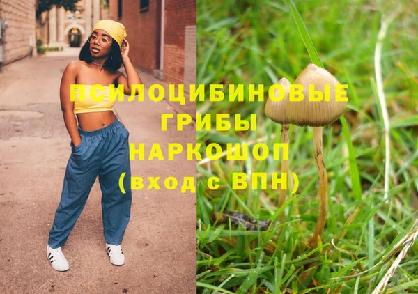 круглые Туринск
